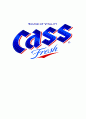 CASS 카스 맥주 마케팅사례분석 1페이지