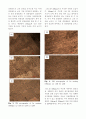 Sn 주물의 스핀 캐스팅 회전속도에 따른 기계적 특성 (Effect of Spin casting RPM on the Mechanical Properties of Sn Castings) 3페이지