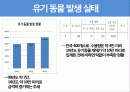 유기동물 안락사, 최선의 선택인가? - 찬성과 반대 논거 2페이지