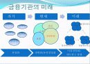하나은행-서울은행 인수합병(M&A) - 합병을 통한 시너지 창출 14페이지