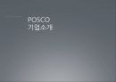 포스코경영분석전략POSCO 기업소개, 기업 선정 동기,POSCO & Arcelormittal 재무 분석, POSCO 기업 분석, POSCO 관련이슈 3페이지