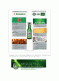 하이네켄(heineken)의 stp,4p 전략 4페이지