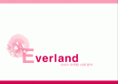 에버랜드(Everland) 서비스 마케팅 사례 분석 1페이지