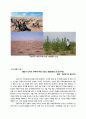 [★우수레포트★][국제적 환경 문제 해결방안] 세계 환경위기의 현황과 문제점 및 몽골의 환경위기 대응 사례 분석 10페이지