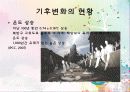 [★우수레포트★][국제적 환경 문제 해결방안] 세계 환경위기의 현황과 문제점 및 몽골의 환경위기 대응 사례 분석 8페이지