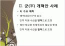 인적자원계획과 군개혁안 사례 7페이지