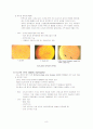 (성인간호학)당뇨병의 급성,만성 합병증 및 간호과정 8페이지