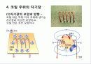 전기의 모든것(전기의 역사부터 최신 기술까지) 77페이지