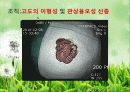 대장암(colorectal cancer) 및 대장내시경 42페이지