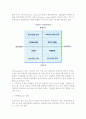 문화적 환경의 분석모형 12페이지