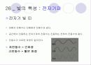 빛 7페이지