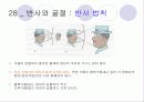 빛 52페이지