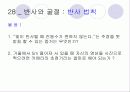 빛 53페이지