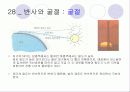 빛 59페이지