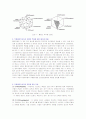 [홀랜드의 자기지향적 탐색 직업흥미의 6가지 유형과 관련 직업에 대하여 논하시오] 2페이지