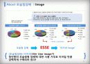 [서강대][브랜드전략론] 마케팅 툴을 이용한 KTnG 초슬림 담배 마케팅 방안, 브랜드 전략 15페이지