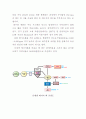 [폐수처리공학] 음식물류 폐기물, 가축분뇨의 처리(에너지화)에 대하여 16페이지