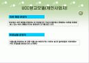 (A+자료) UCC 정의 및 특징과 등장배경 및 마케팅 성공전략 요인과 사례 총체적 조사분석 28페이지