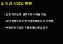 국내 안경시장 유통 구조 현황 분석 12페이지