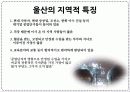 출산율 문제 원인 및 출산 장려 정책 비교(정부, 지역별) 대안 해결 방안 16페이지