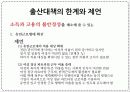 출산율 문제 원인 및 출산 장려 정책 비교(정부, 지역별) 대안 해결 방안 31페이지