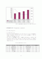 (A+자료) MP3의 중국시장 진출 성공요인 및 경영전략과 마케팅 전략 총체적 조사분석 8페이지