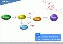 의류산업의 유통구조 8페이지