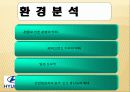 세계화와 경제,정치환경 (현대 자동차) 8페이지