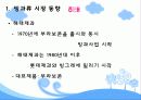 빙과류(빙과산업)의 유통 경로 조사 5페이지