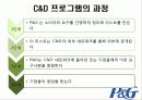 다국적 기업 P&G 29페이지