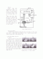 (예비) Thermal analysis of the PMMA by TGA - 열 분석법 기기 중 하나인 TGA의 원리를 이해하고, 이를 이용해 ATRP로 중합한 PMMA를 분석한다 6페이지