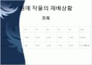 원예의 미래 7페이지