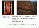 김아타 작품에 대한 불교적 관점의 신화비평 26페이지