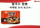 농심 -쌀국수 짬뽕, 마케팅 조사 보고서  1페이지