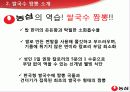 농심 -쌀국수 짬뽕, 마케팅 조사 보고서  7페이지