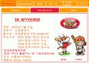 sk와이번즈 (Marketing case analysis of SK WYVERNS) 3페이지