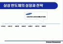 삼성전자의 반도체사업 25페이지