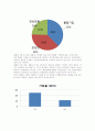 팬덤문화 14페이지