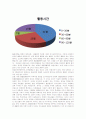 팬덤문화 19페이지