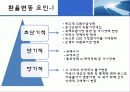 원,달러 환율 추이 및 변동요인 5페이지