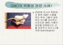 ★추천레포트★GMO(유전자 조작식품)의 정의, 필요성, GMO의 발생 배경, GMO의 찬반 논의, GMO의 위험 사례 및 GMO에 대한 우리의 견해 10페이지