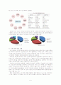 노인 영양사업 - 노인 무료급식을 중심으로 5페이지