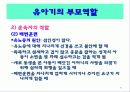 유아기의 발달과 부모역할 83페이지