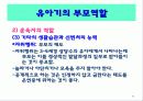 유아기의 발달과 부모역할 88페이지