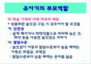 유아기의 발달과 부모역할 92페이지