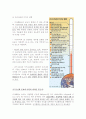 (사회학개론) 레포트 지구온난화 - 지구를 녹인다 (A+학점) 9페이지