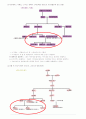 언어와 신화_정리노트_8부터14장 6페이지