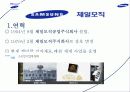 삼성 계열사소개 및 취업전략 56페이지
