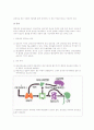 성인간호학, 영양간호학 - 빈혈 및 대사성 질환에 관한 정의 ,증상, 치료, 식이요법A+ ( 철 결핍성 빈혈,거대적아구성빈혈/악성빈혈.재생불량성 빈혈,용혈성 빈혈,페닐케톤뇨증,갑상선 기능저하증,논문)  14페이지