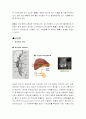 SICU질환명, 주요검사, 약, 의학용어 ( 승모판 협착증,폐색전증,담낭염)  14페이지